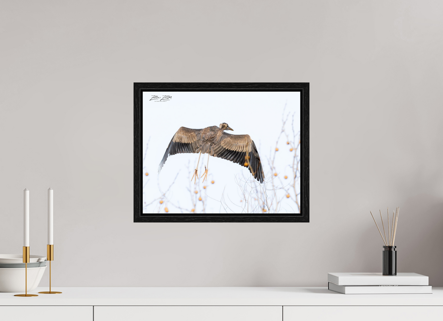 15.5 x 12″, Floater Frame Zillas Zoom Image 276