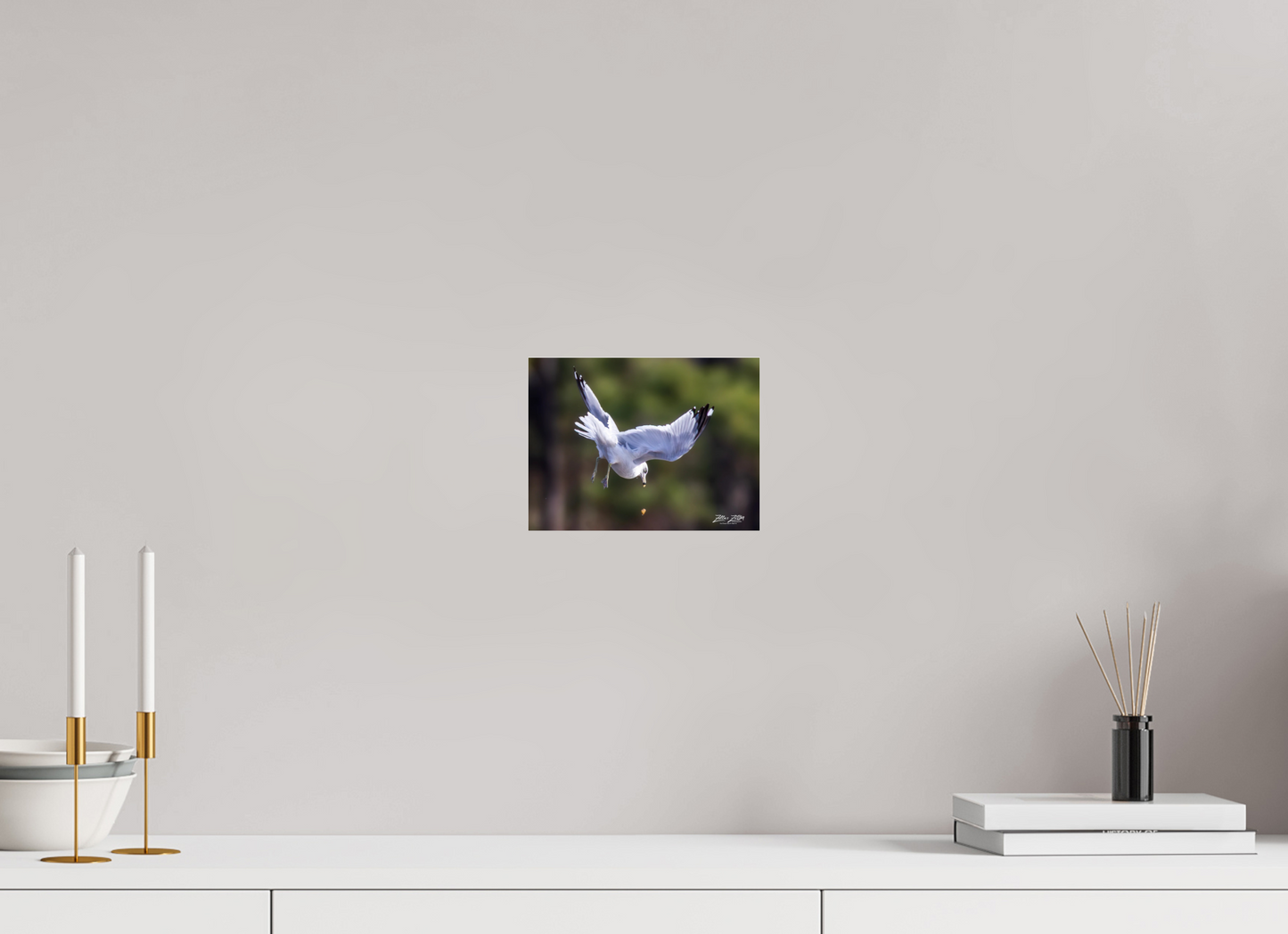 8 x 6″, Photo Print Under Acrylic Glass Zillas Zoom Image 268