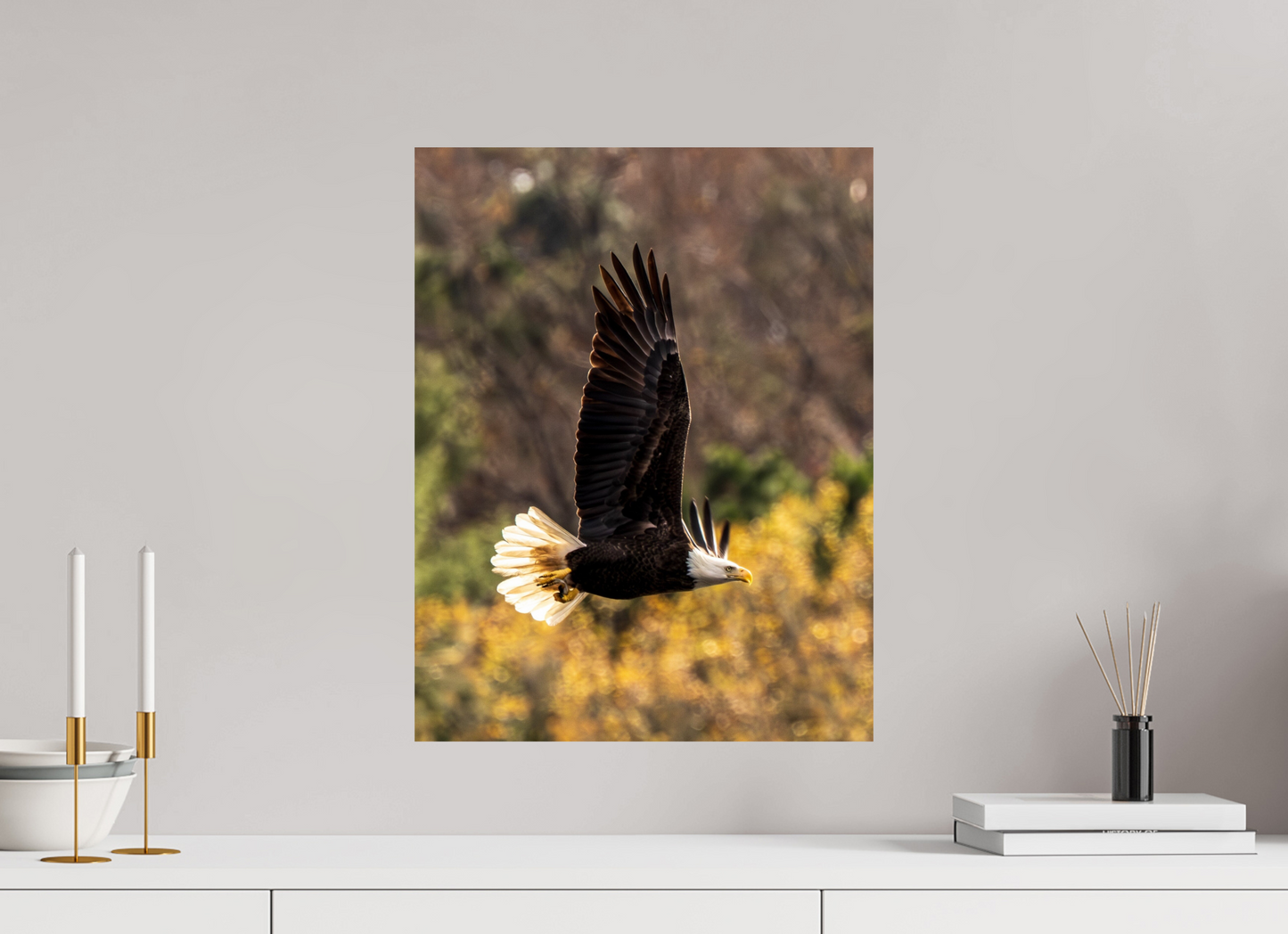 16 x 20.7″, Photo Print On Fuji Crystal DP II Zillas Zoom Image 524