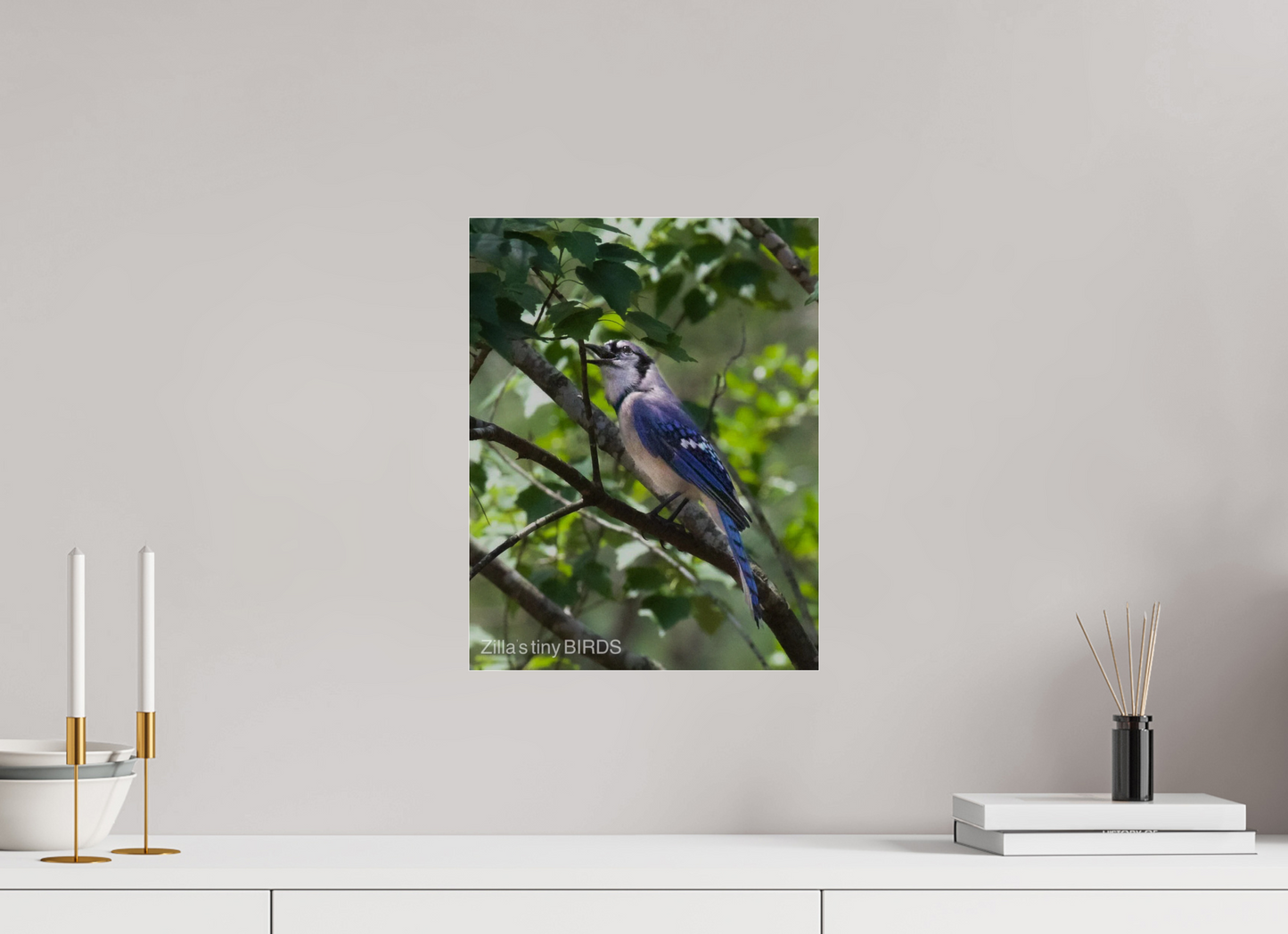 12 x 15.6″, Photo Print Under Acrylic Glass Zillas Zoom Image 469