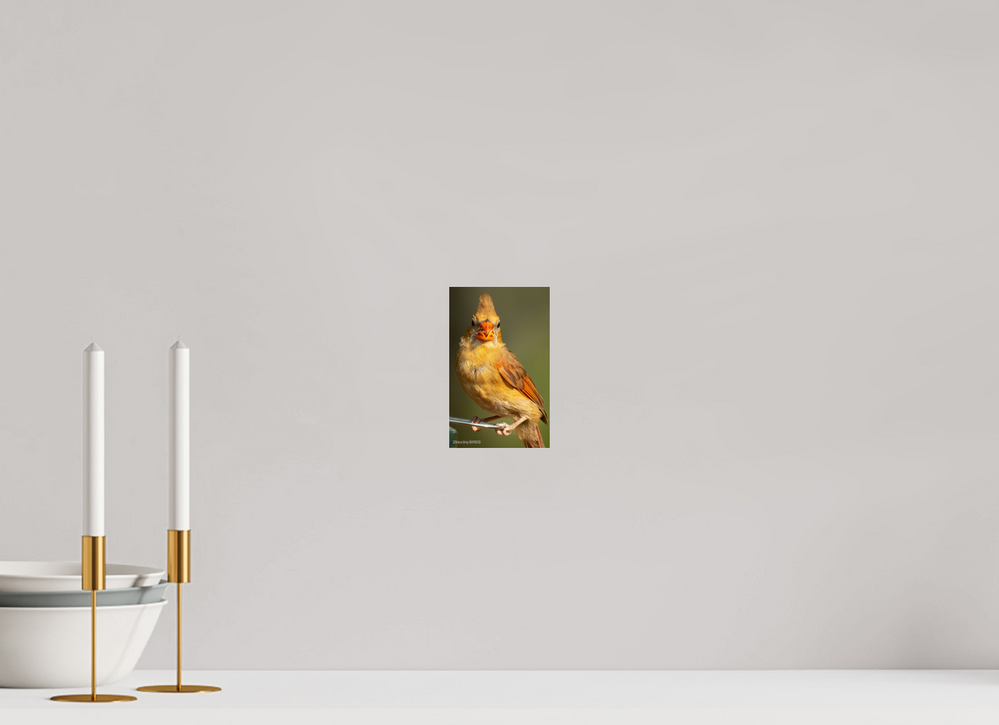 4 x 6.4″, Photo Print Under Acrylic Glass Zillas Zoom Image 509