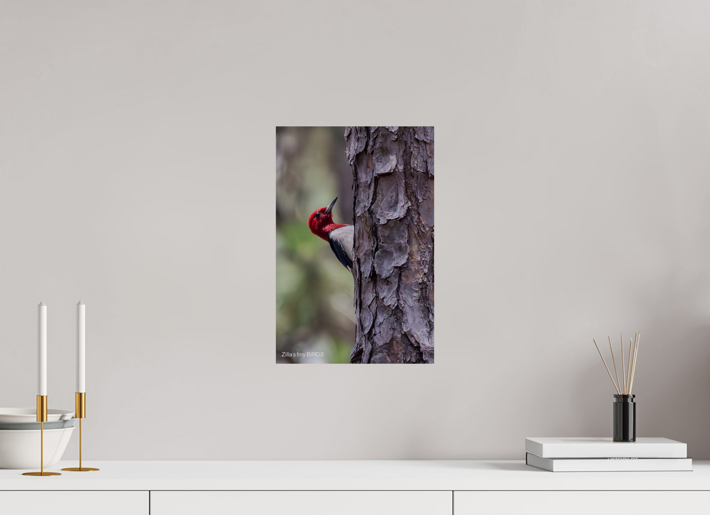 10 x 15″, Photo Print On Fuji Crystal DP II Zillas Zoom Image 506