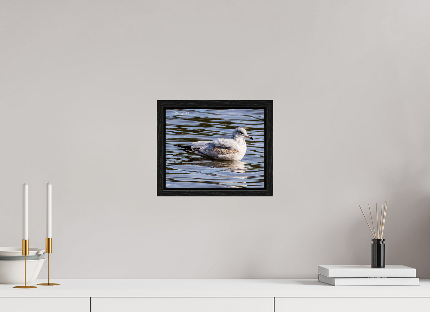 10 x 8″, Floater Frame Zillas Zoom Image 271