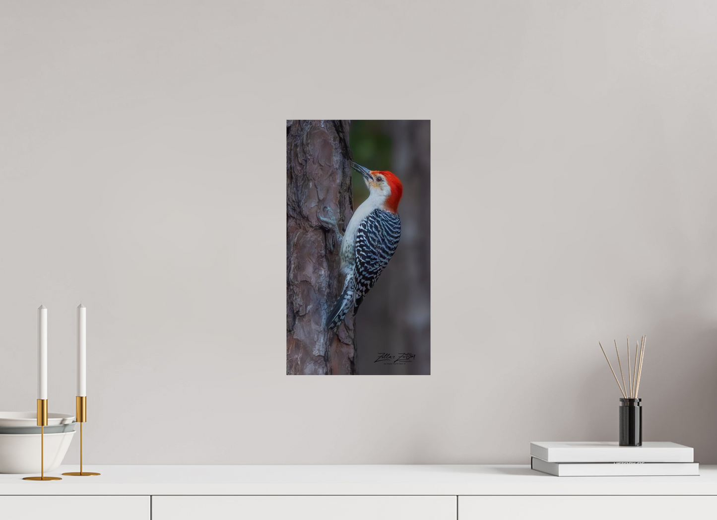9 x 16″, Photo Print On Fuji Crystal DP II Zillas Zoom Image 445