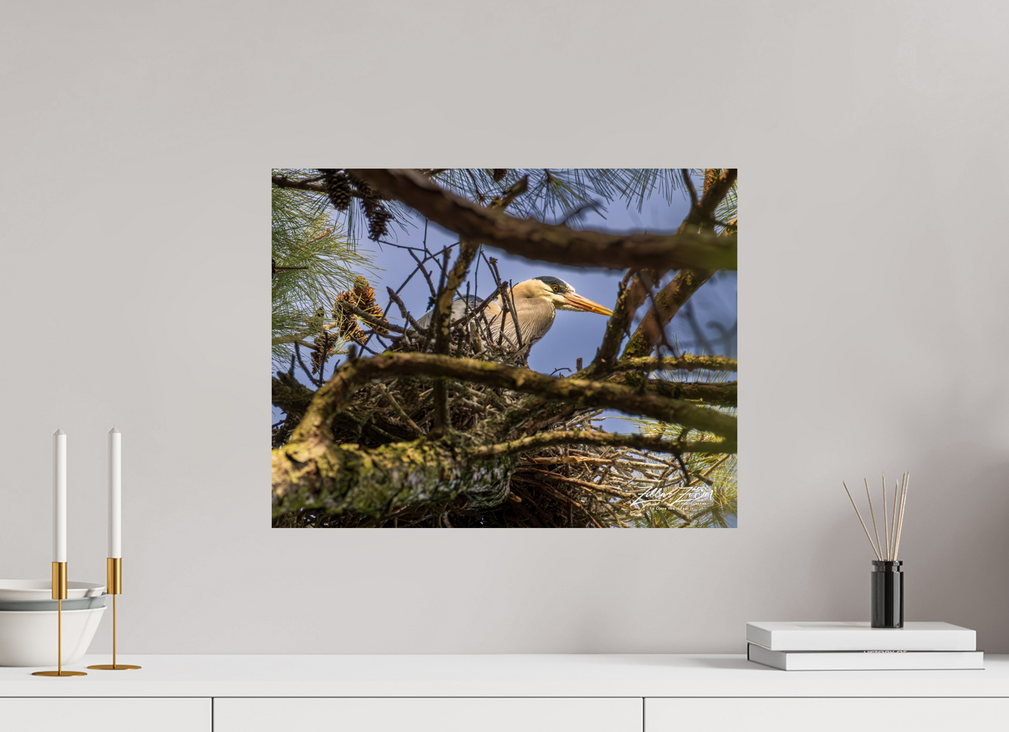 20.7 x 16″, Photo Print On Fuji Crystal DP II Zillas Zoom Image 361