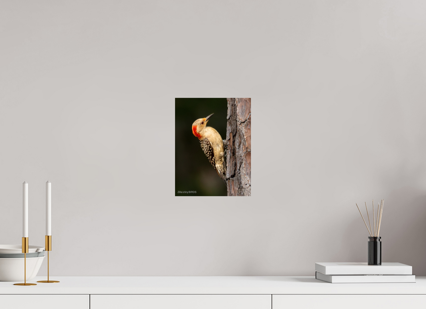 8 x 10.4″, Photo Print On Fuji Crystal DP II Zillas Zoom Image 514