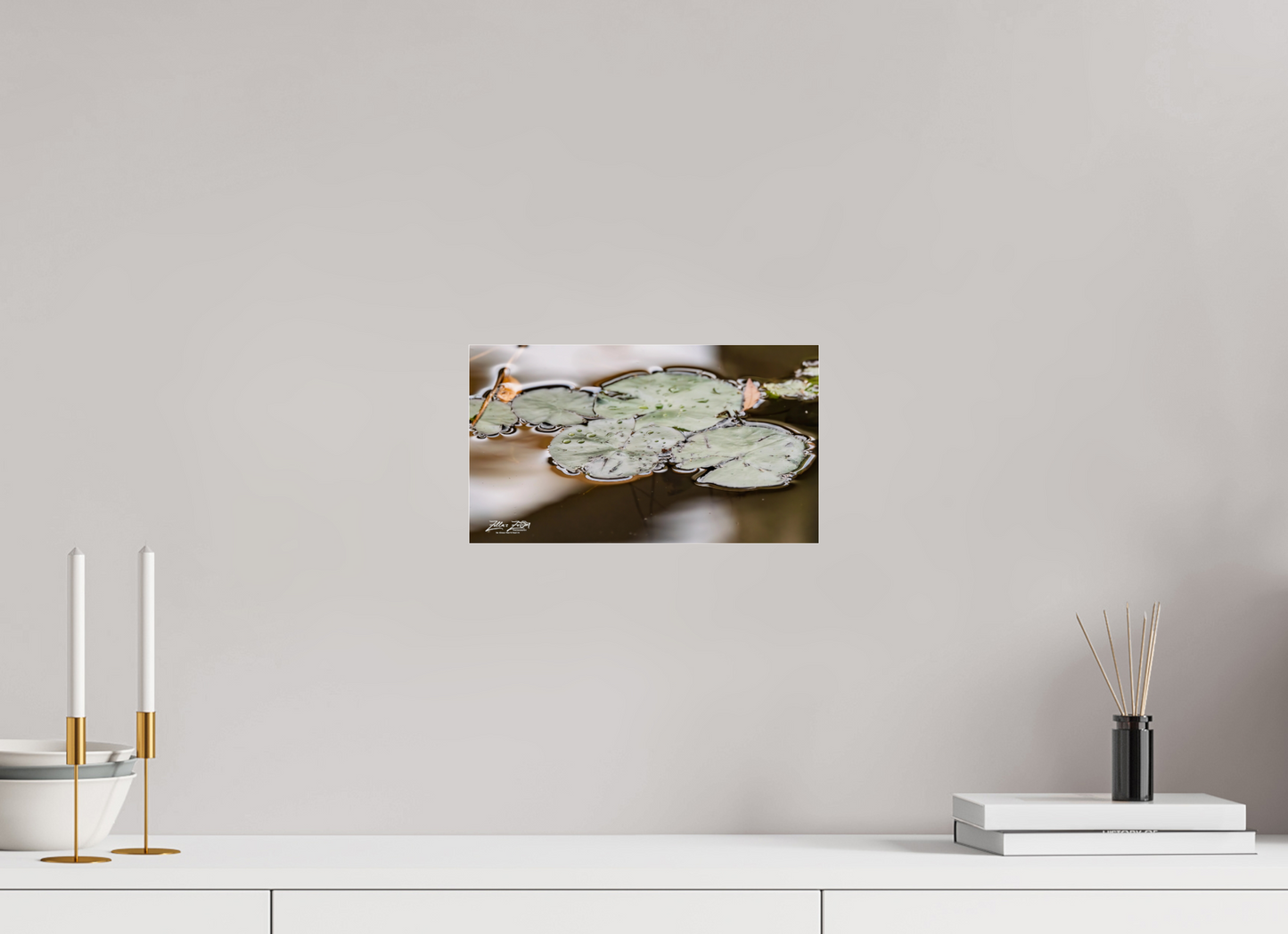 12 x 6.8″, Photo Print Under Acrylic Glass Zillas Zoom Image 89
