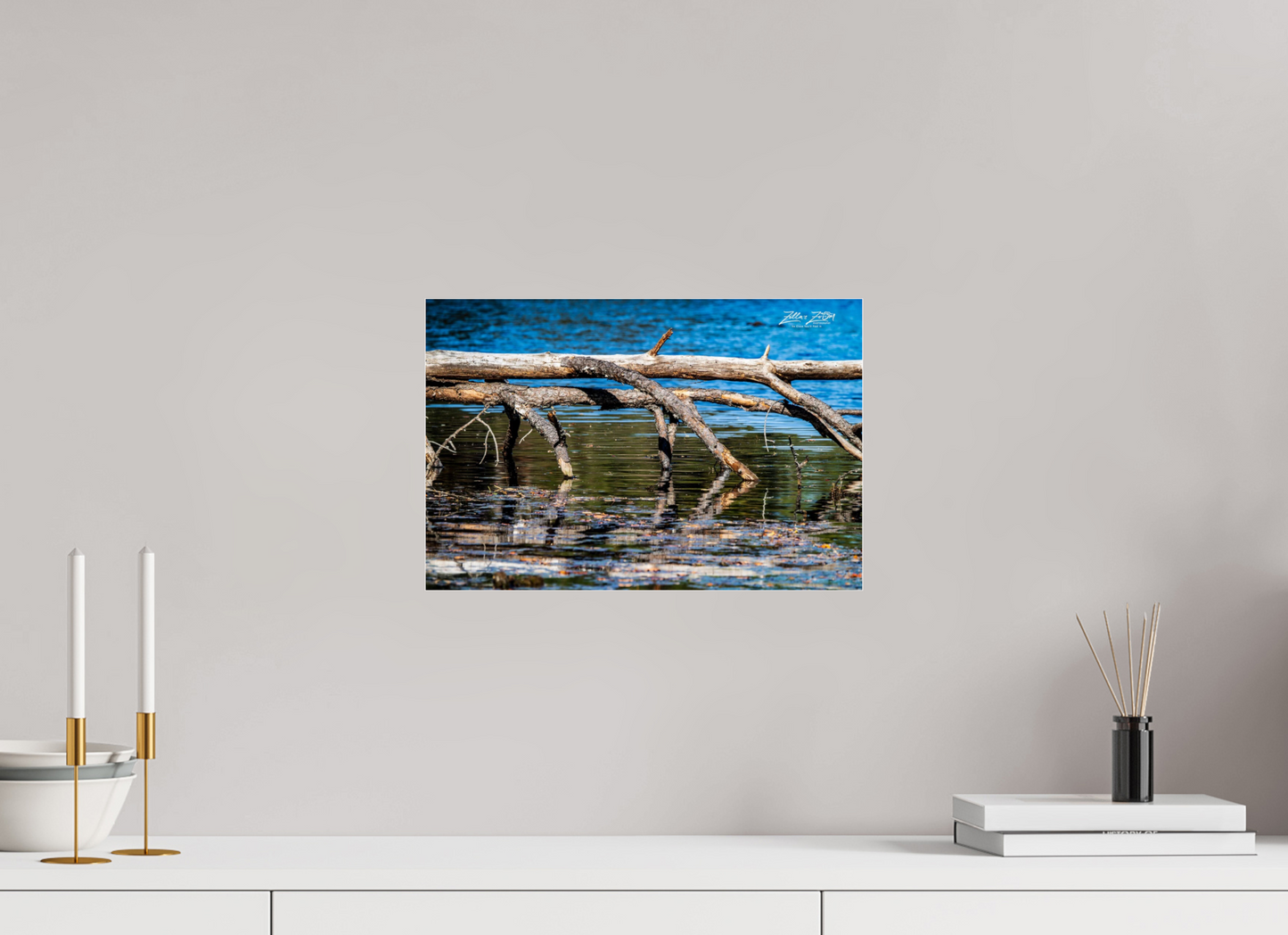15 x 10″, Photo Print Under Acrylic Glass Zillas Zoom Image 214