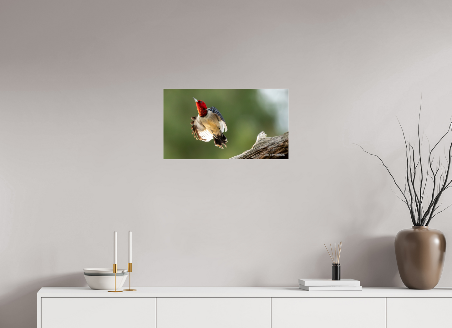 24 x 13.5″, Photo Print Under Acrylic Glass Zillas Zoom Image 374