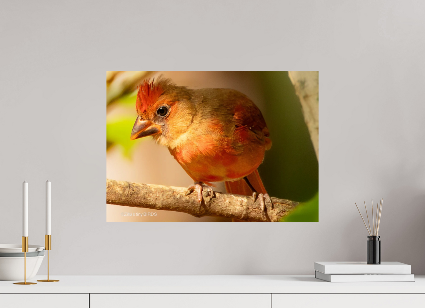 22.4 x 16″, Photo Print On Fuji Crystal DP II Zillas Zoom Image 316