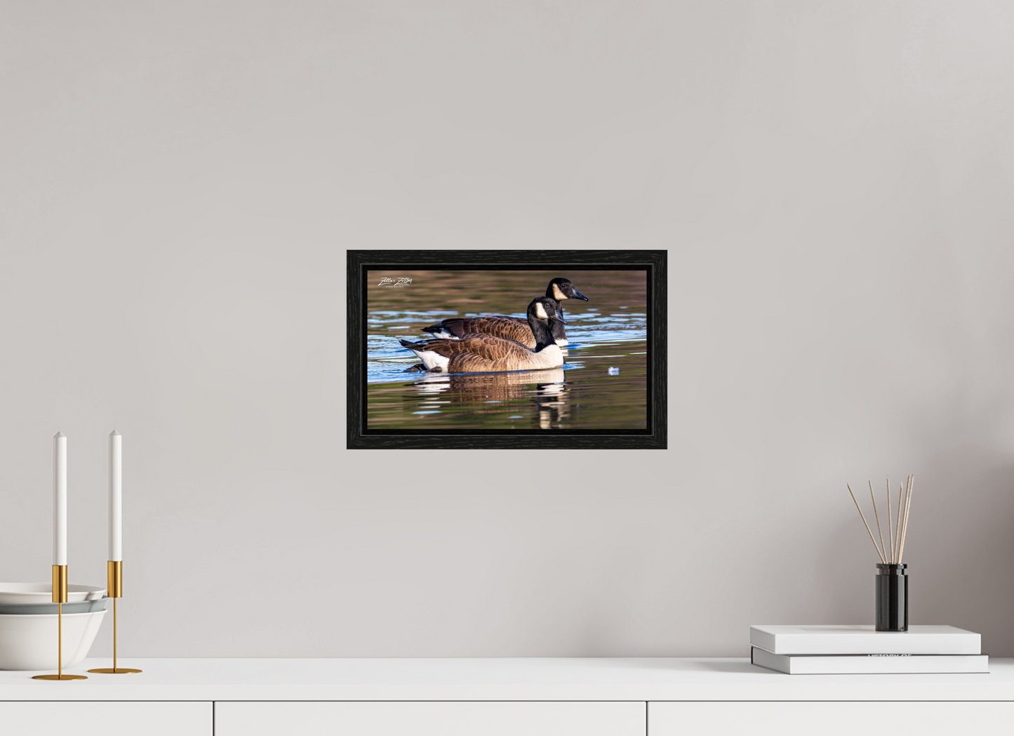 12 x 6.8″, Floater Frame Zillas Zoom Image 279