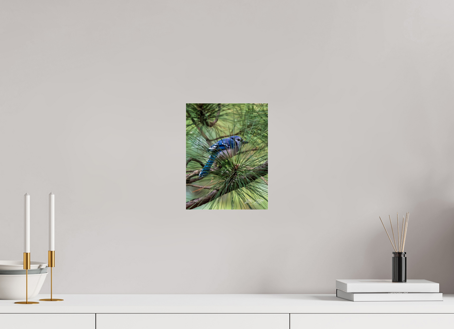 8 x 10.4″, Photo Print Under Acrylic Glass Zillas Zoom Image 457