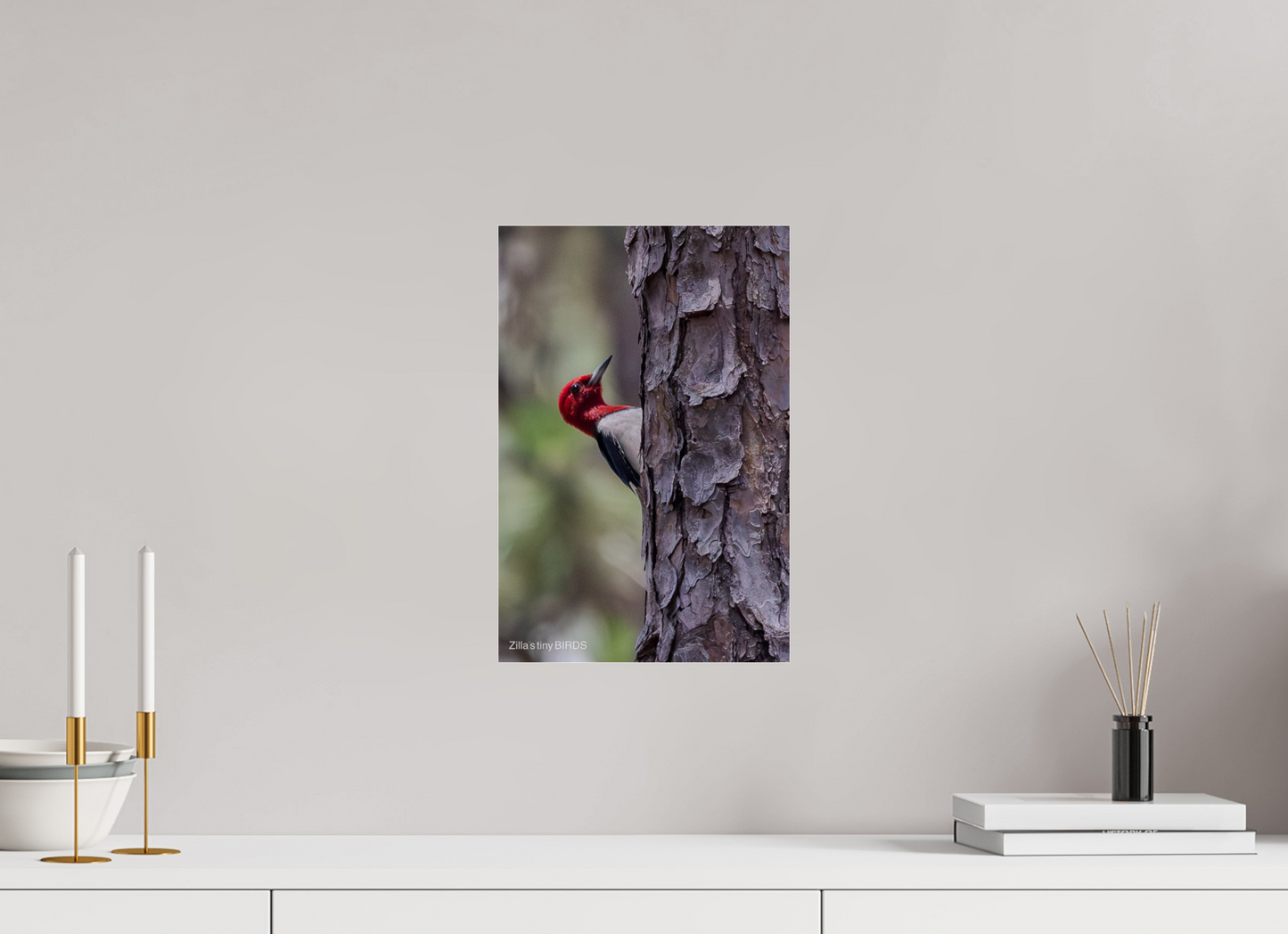 10 x 15″, Photo Print Under Acrylic Glass Zillas Zoom Image 506