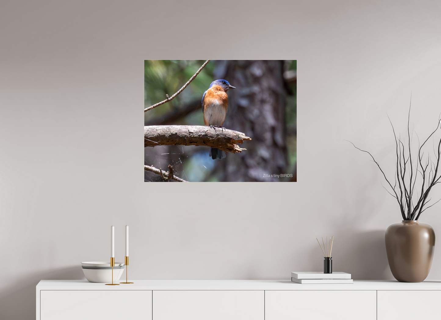 30 x 24″, Photo Print Under Acrylic Glass Zillas Zoom Image 368