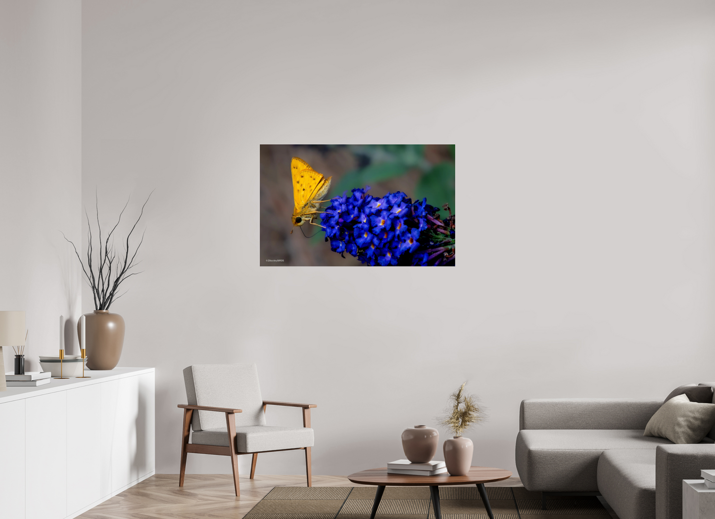 44.8 x 28″, Photo Print Under Acrylic Glass Zillas Zoom Image 61