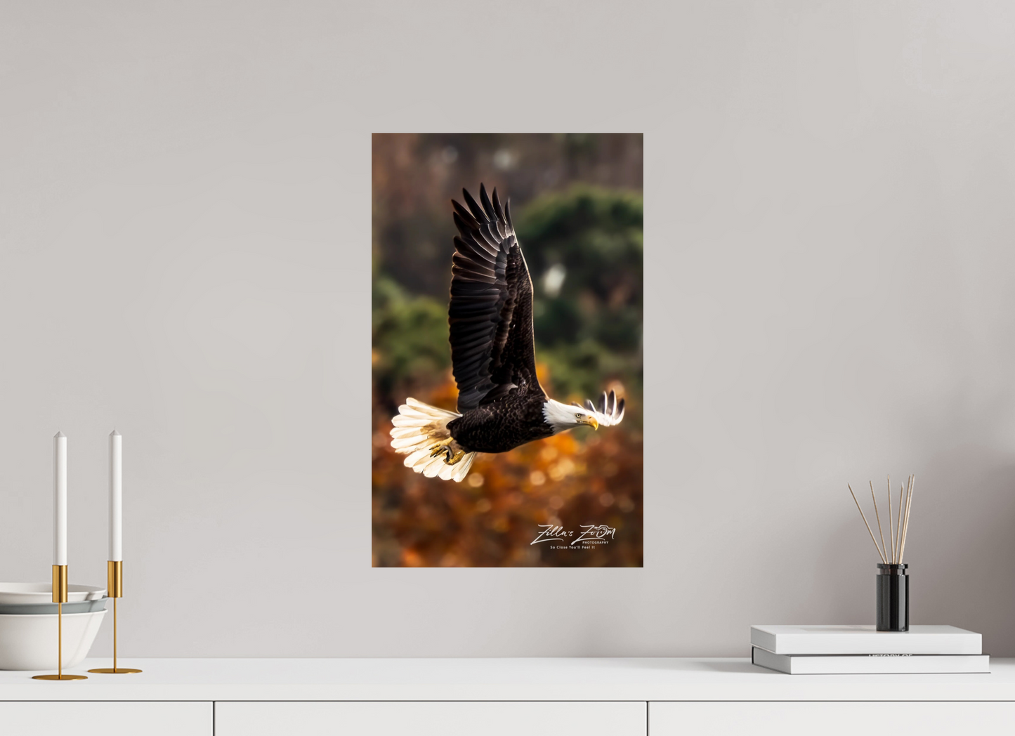 12 x 19.2″, Photo Print On Fuji Crystal DP II Zillas Zoom Image 415