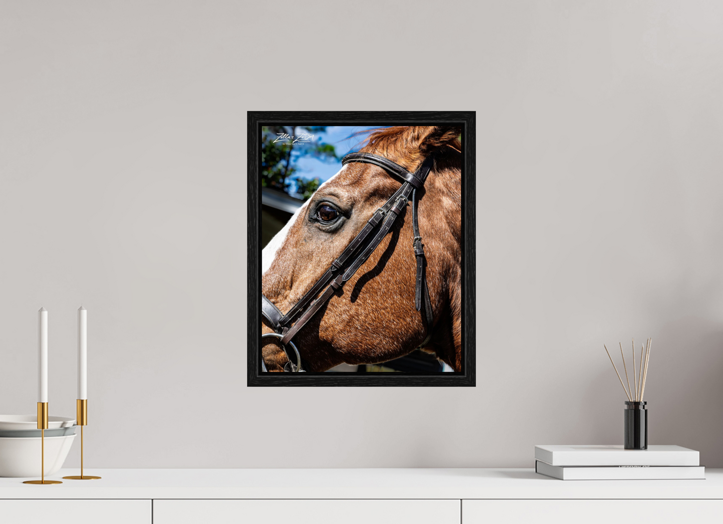 12 x 14.8″, Floater Frame Zillas zoom image 149