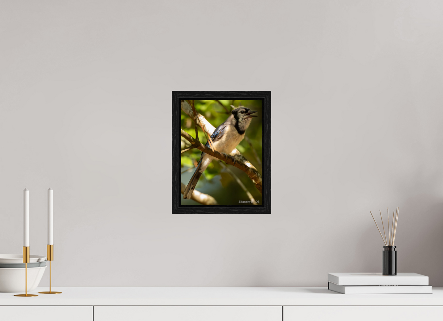 8 x 10.4″, Floater Frame Zillas Zoom Image 517
