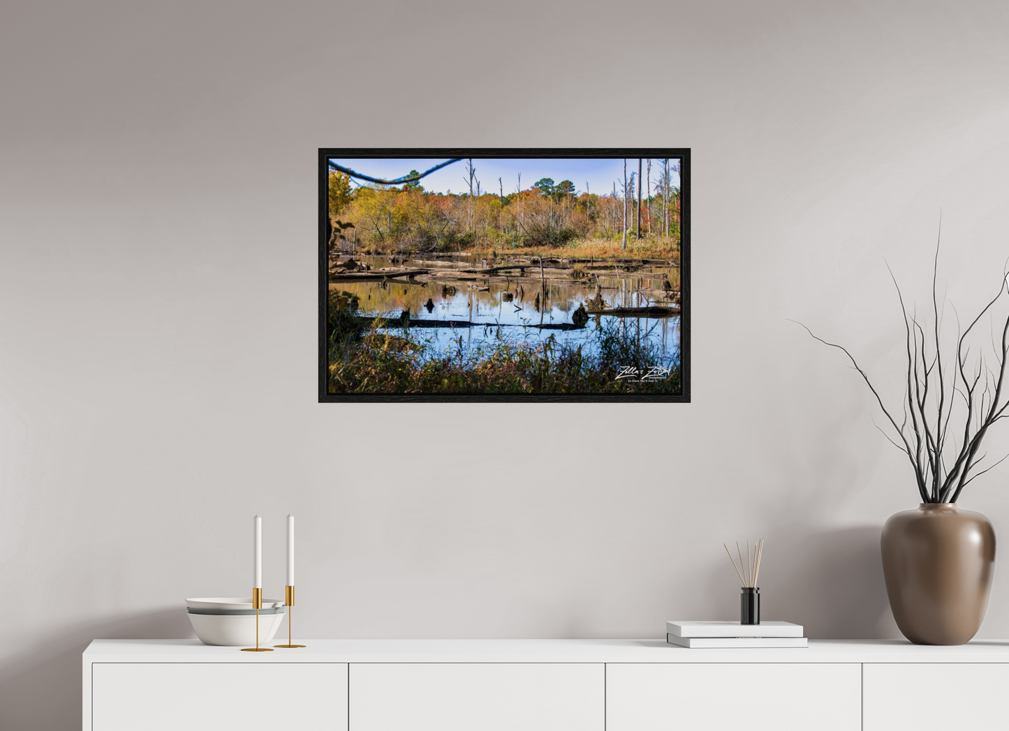 30 x 20″, Floater Frame Zillas Zoom Image 205