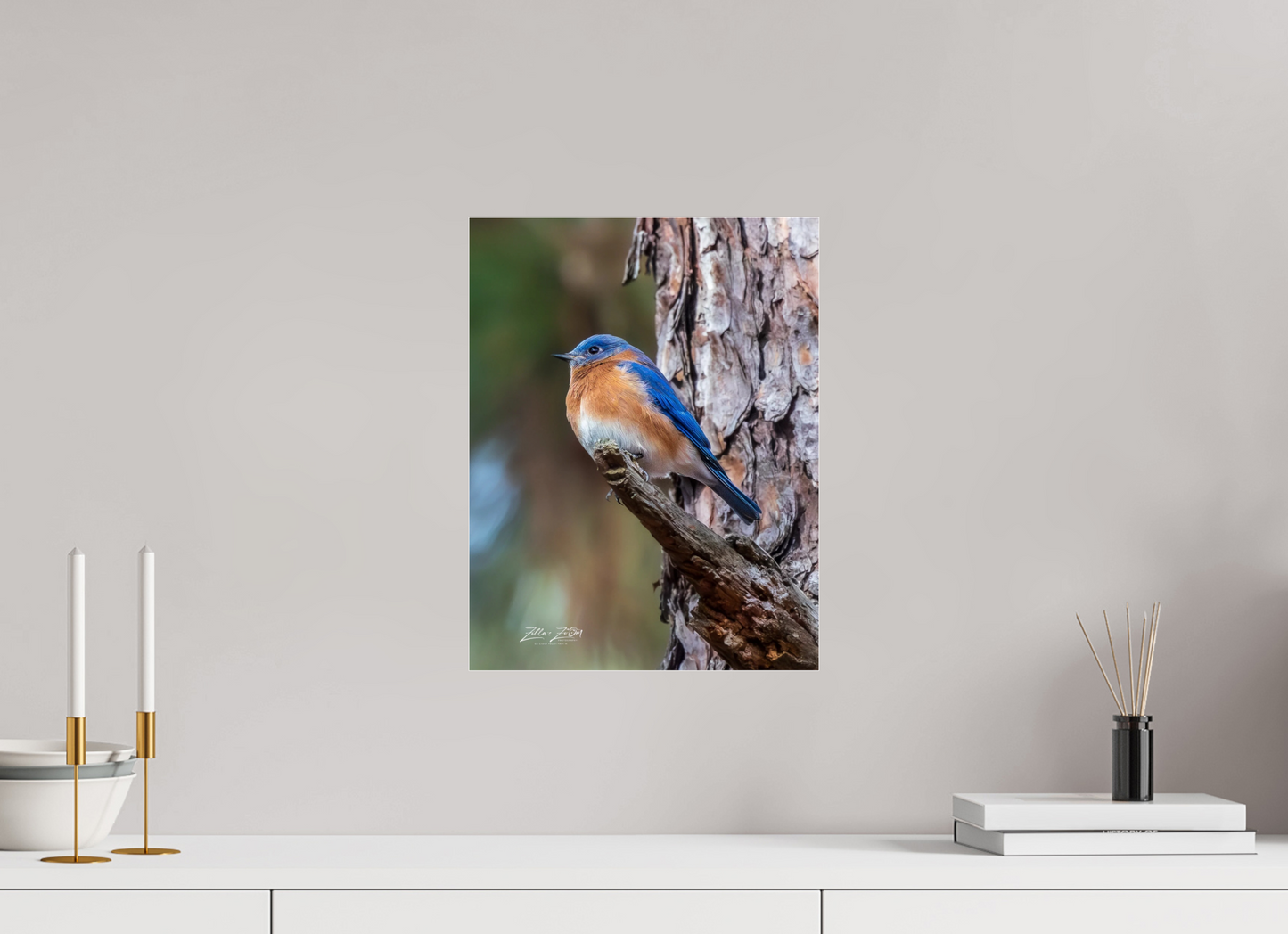 12 x 15.6″, Photo Print Under Acrylic Glass Zillas Zoom Image 512