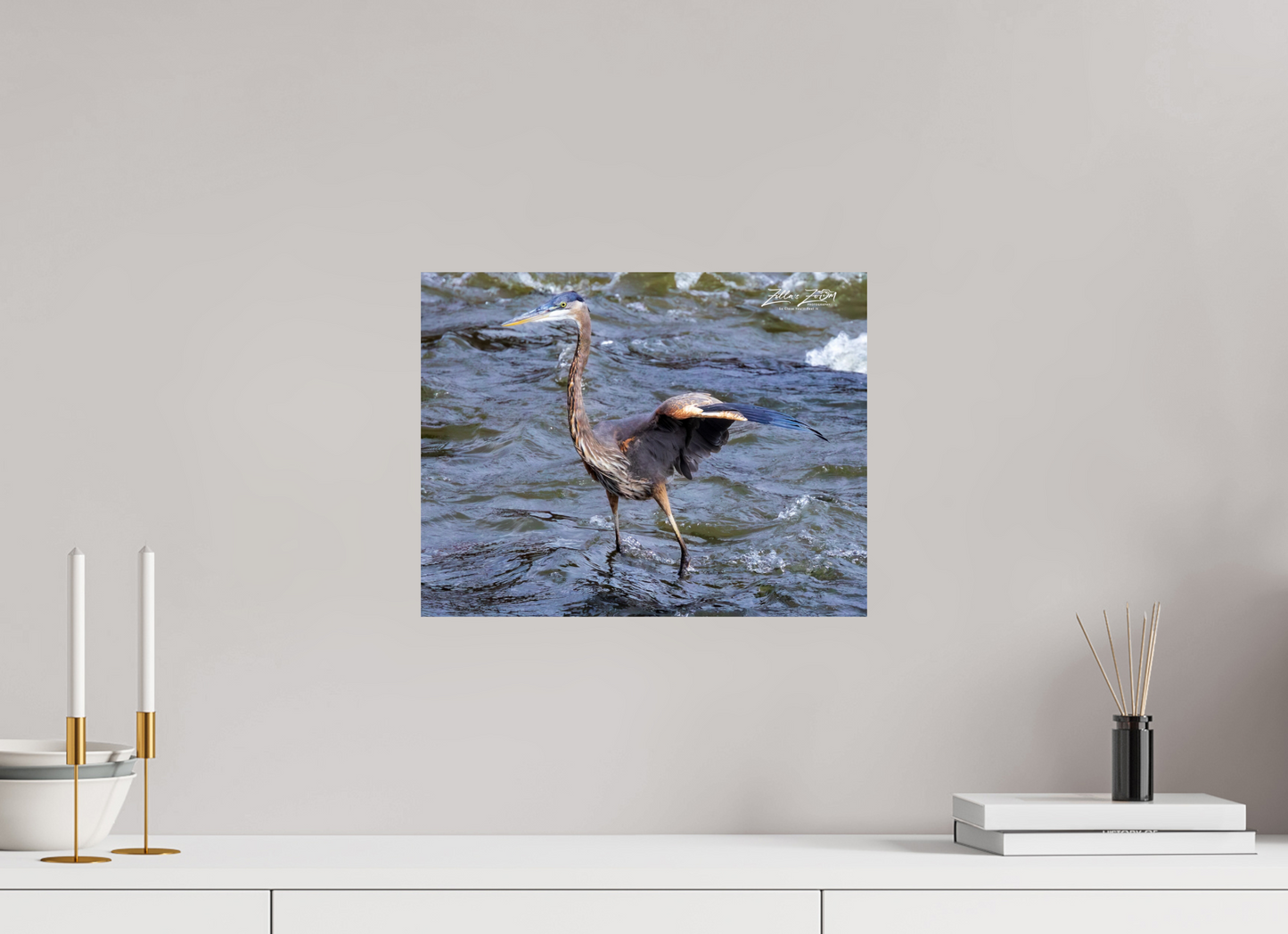 15.6 x 12″, Photo Print On Fuji Crystal DP II Zillas Zoom Image 301