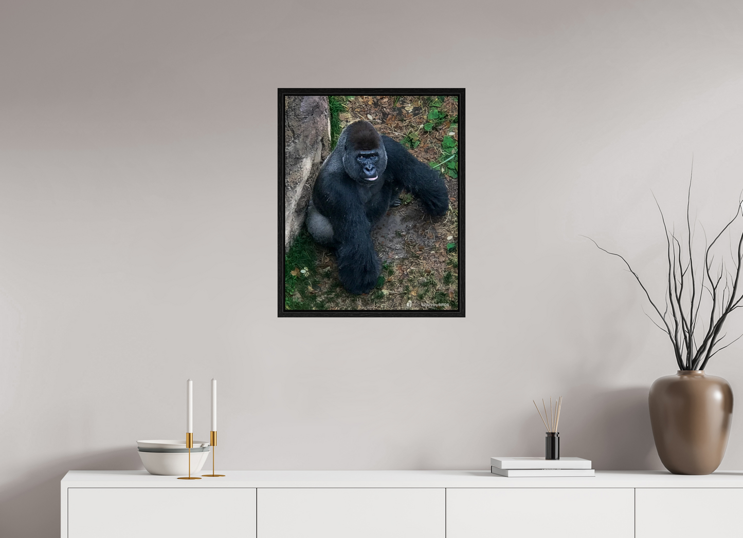 20 x 24.8″, Floater Frame Zillas zoom image 151