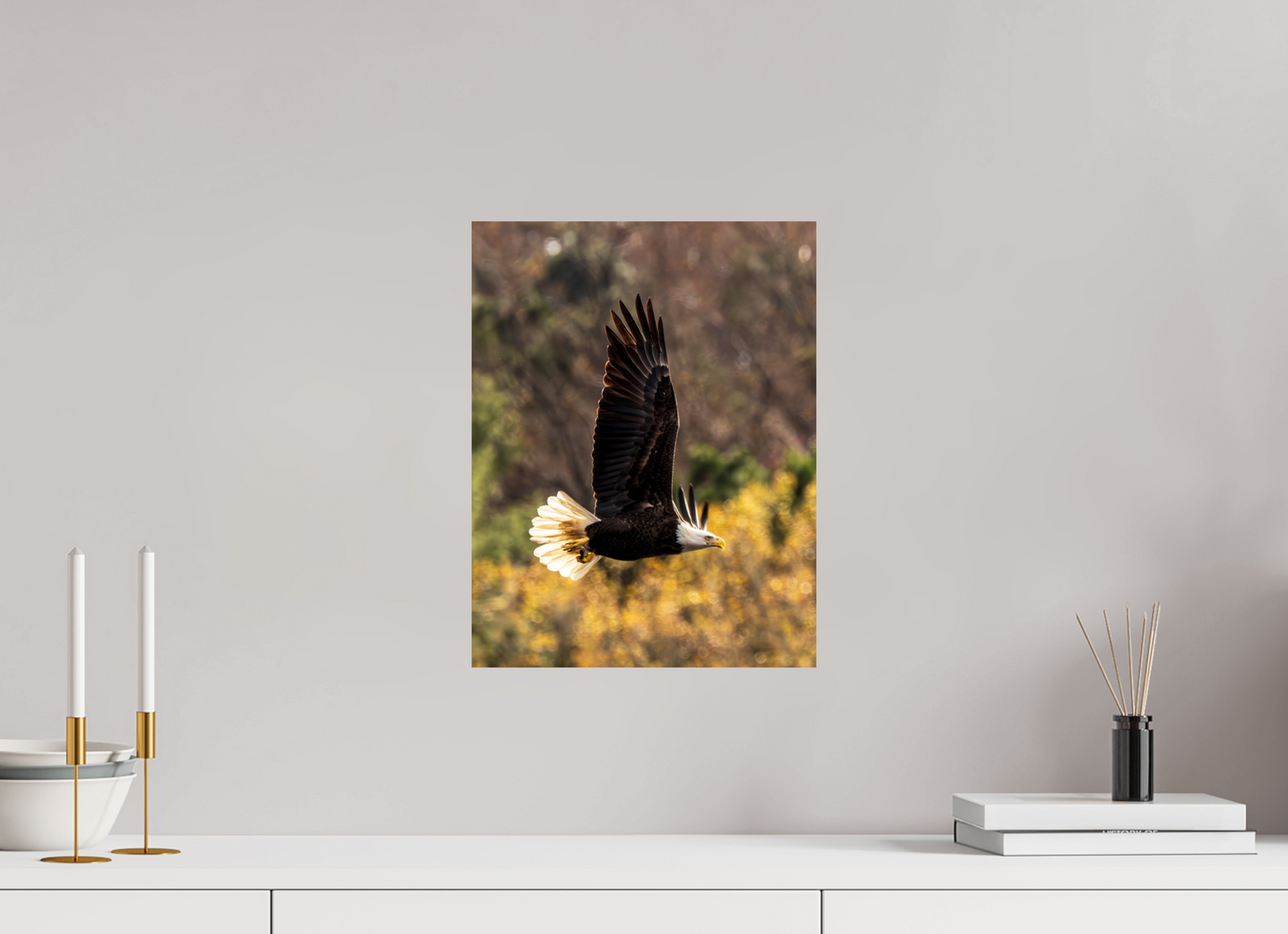 12 x 15.6″, Photo Print On Fuji Crystal DP II Zillas Zoom Image 524