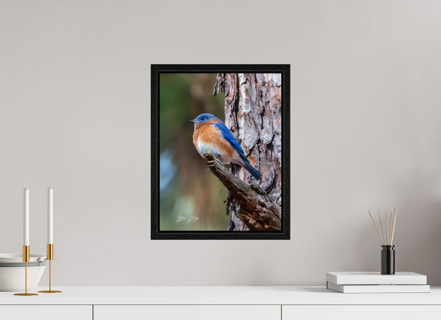 12 x 15.6″, Floater Frame Zillas Zoom Image 512