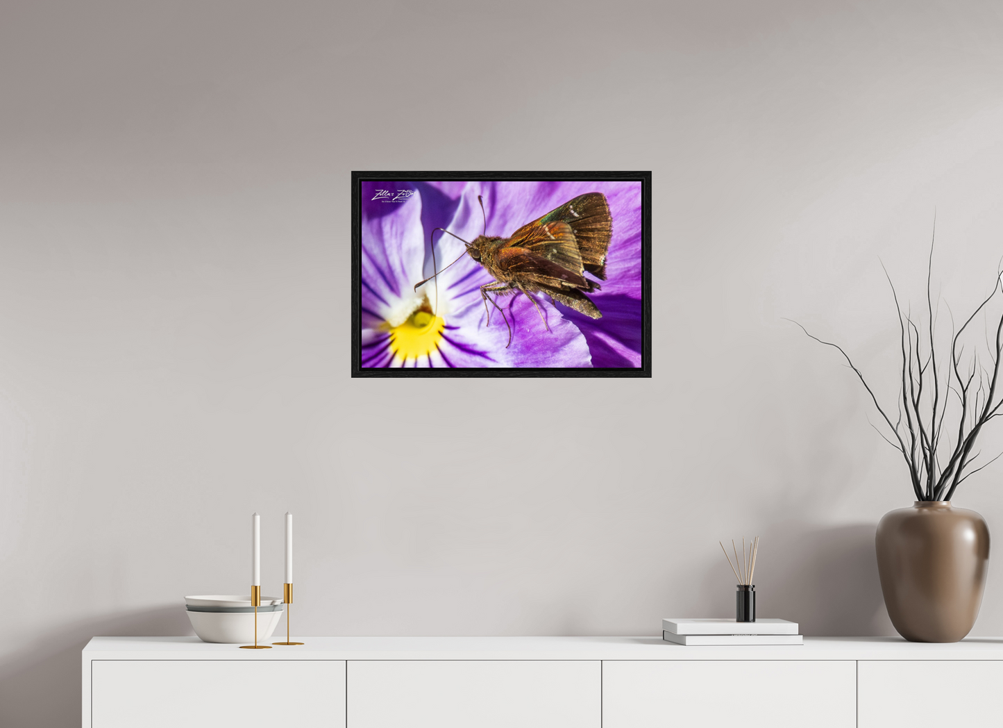 24 x 16″, Floater Frame Zillas Zoom Image 59