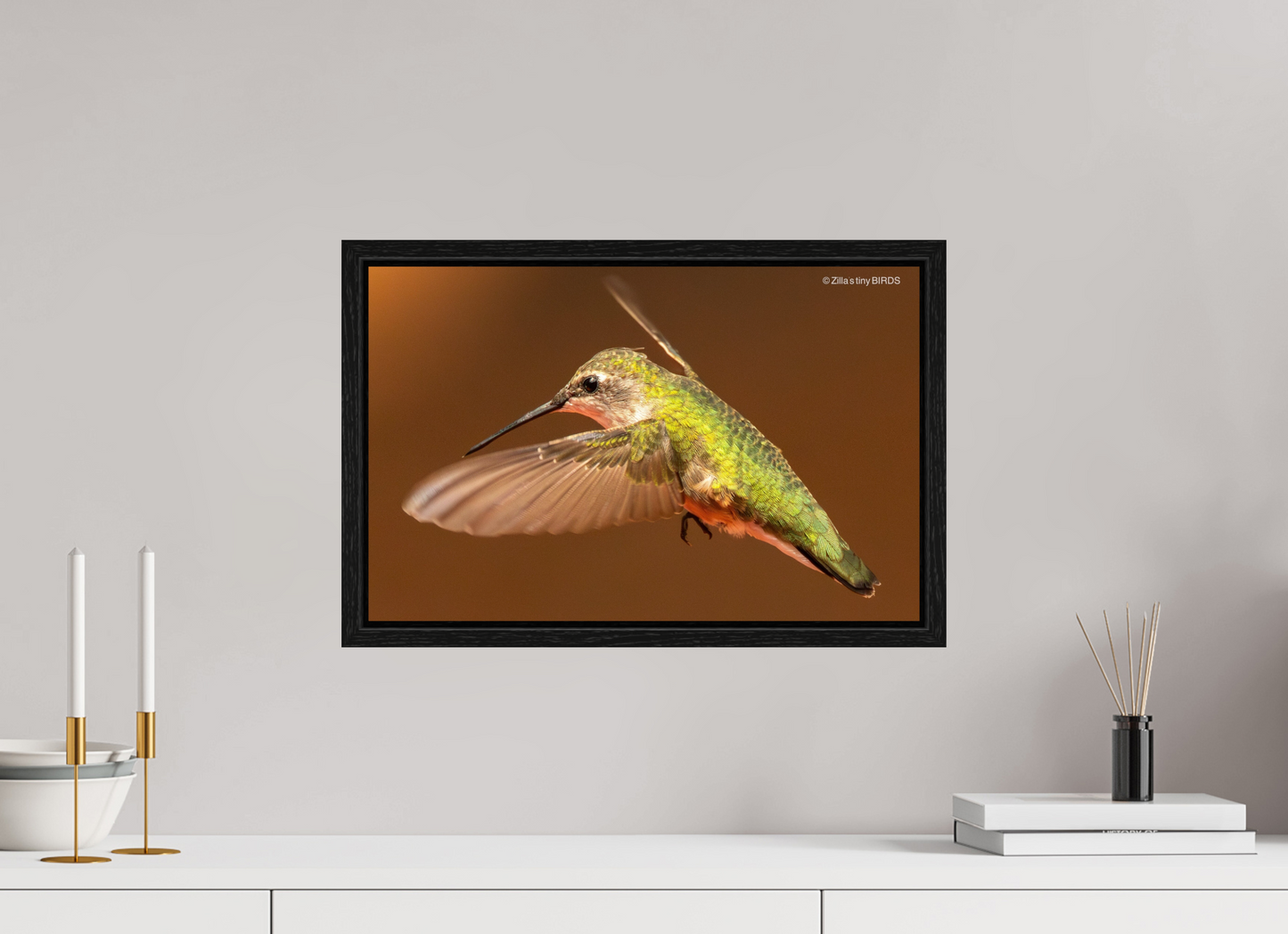 18.7 x 12″, Floater Frame Zillas Zoom Image 330