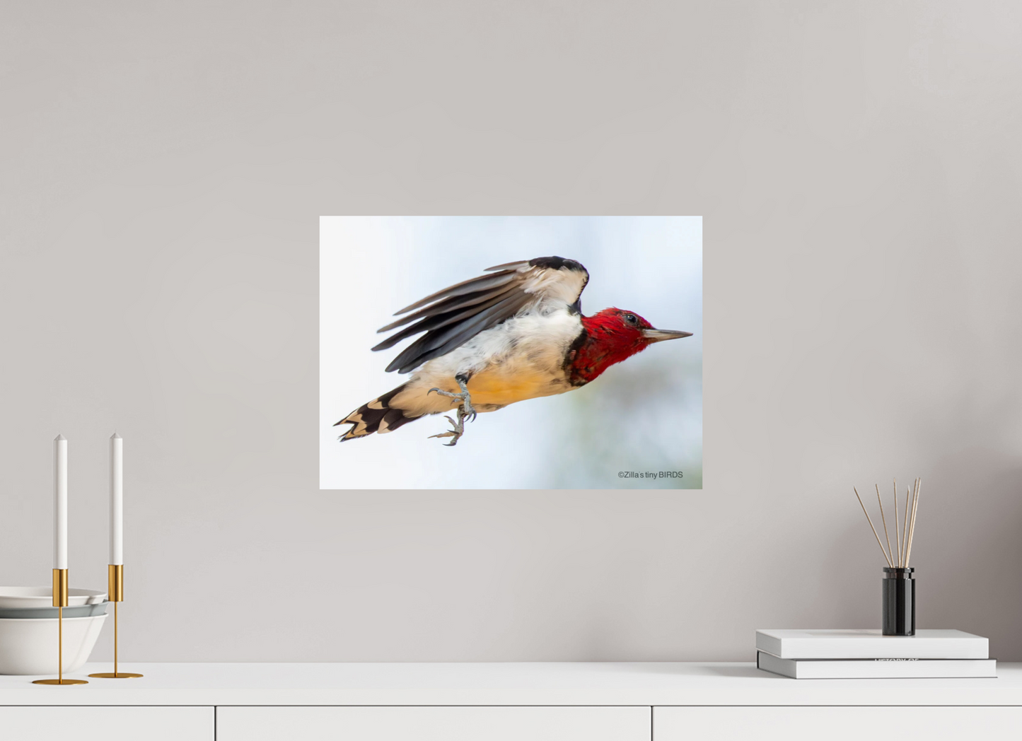 16.8 x 12″, Photo Print On Fuji Crystal DP II Zillas Zoom Image 325