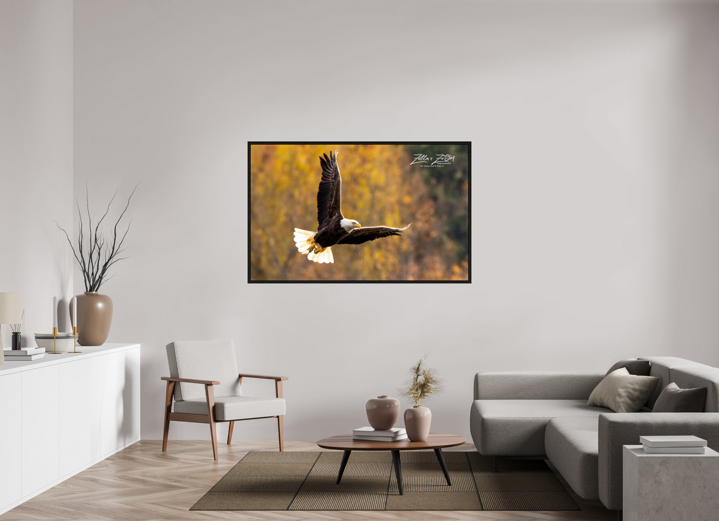 62.4 x 39″, Floater Frame Zillas Zoom Image 272
