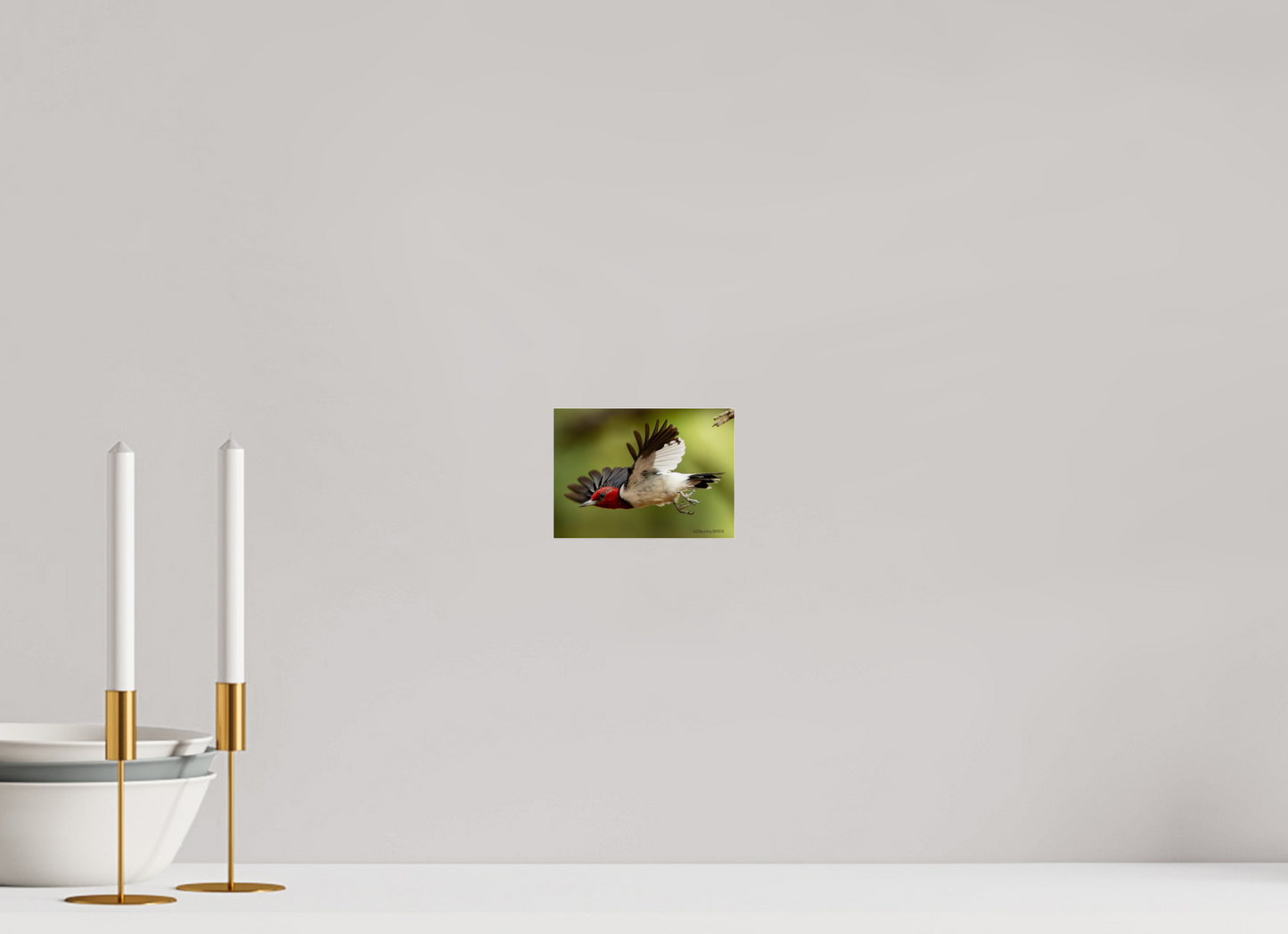 5.6 x 4″, Photo Print Under Acrylic Glass Zillas Zoom Image 274