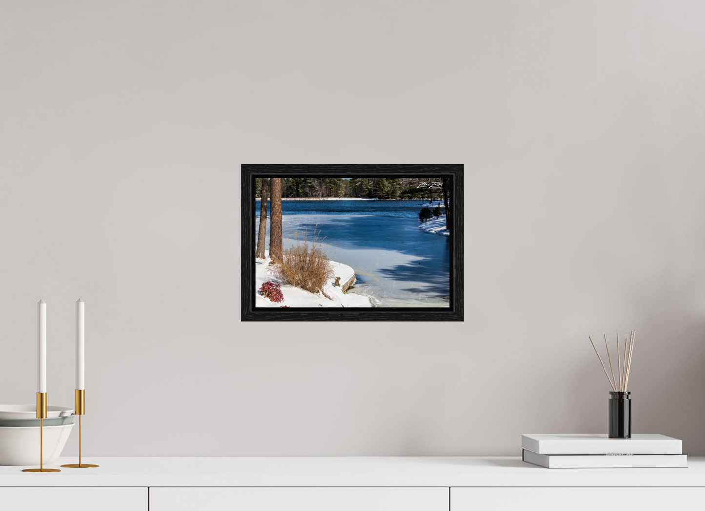 12 x 8″, Floater Frame Zillas Zoom Image 204