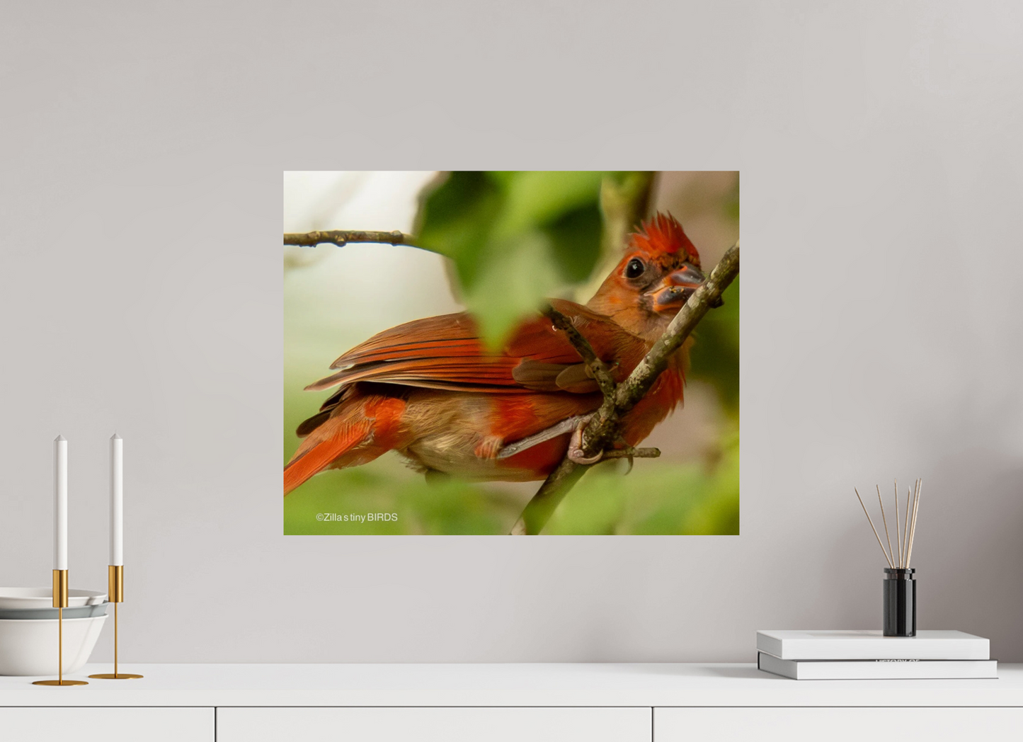 20 x 16″, Photo Print On Fuji Crystal DP II Zillas Zoom Image 317