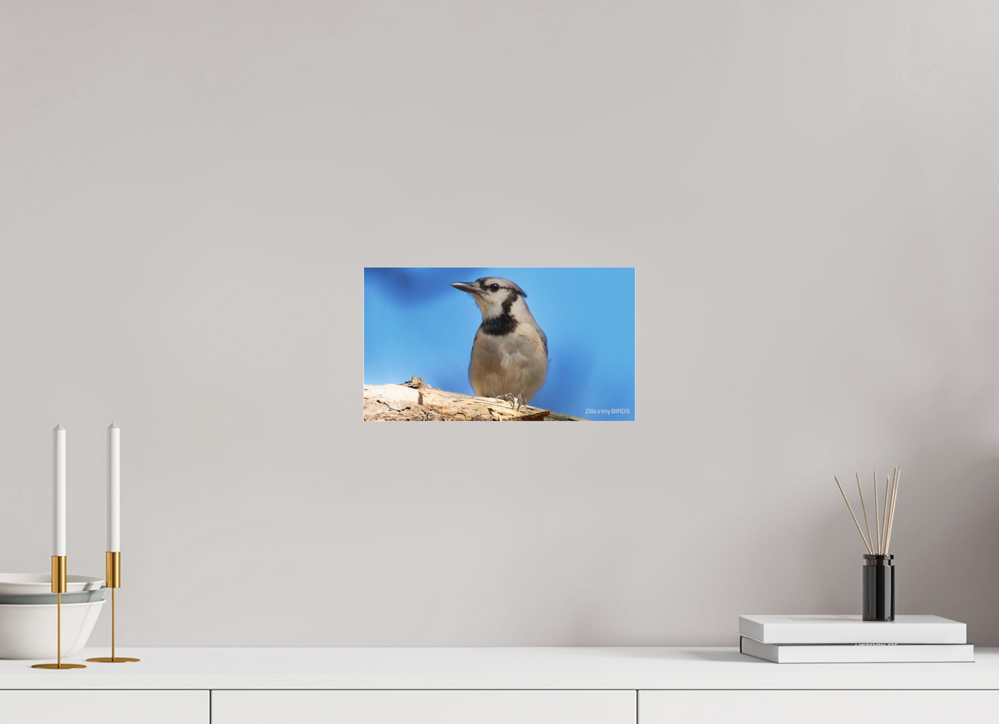12 x 6.8″, Photo Print Under Acrylic Glass Zillas Zoom Image 384