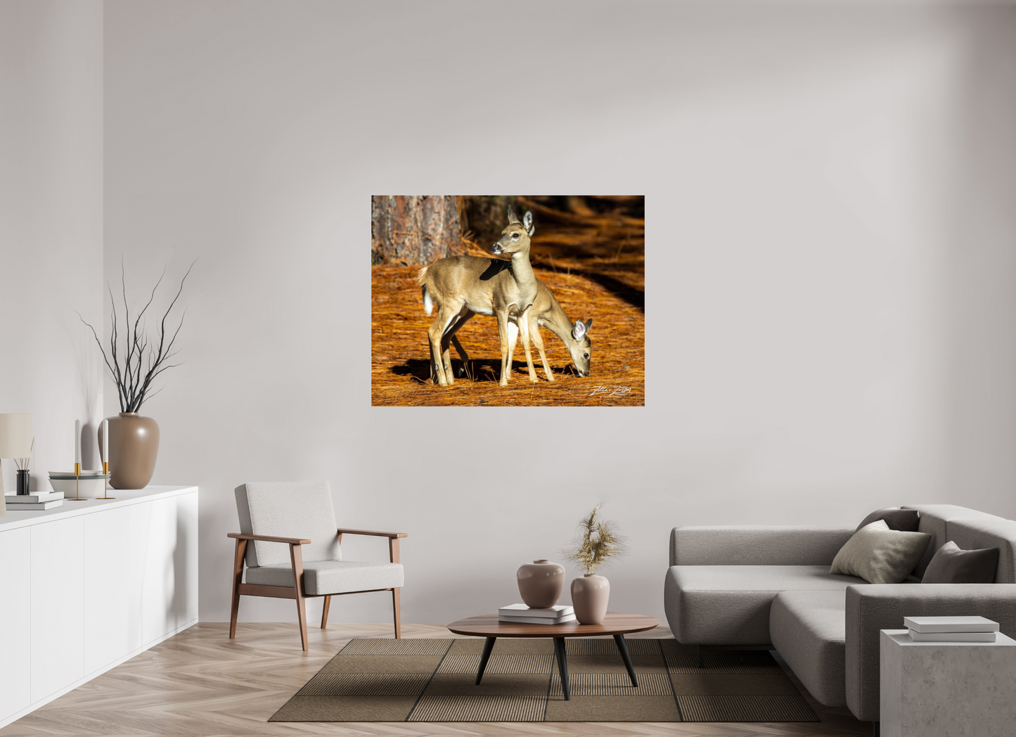 55.7 x 43″, Photo Print Under Acrylic Glass Zillas zoom image 144