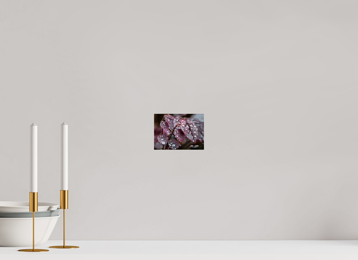 5.6 x 4″, Photo Print On Fuji Crystal DP II Zillas Zoom Image 100