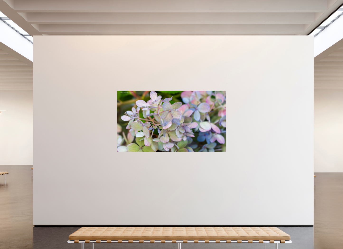 80 x 45″, Photo Print Under Acrylic Glass Zillas Zoom Image 90