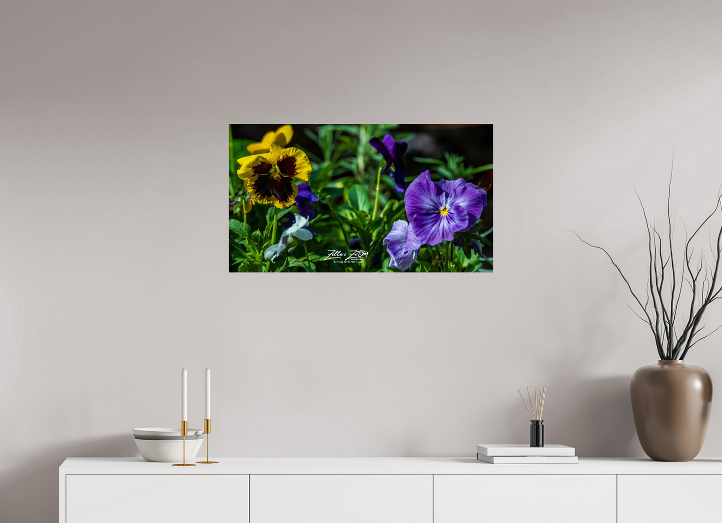 32 x 18″, Photo Print On Fuji Crystal DP II Zillas Zoom Image 91