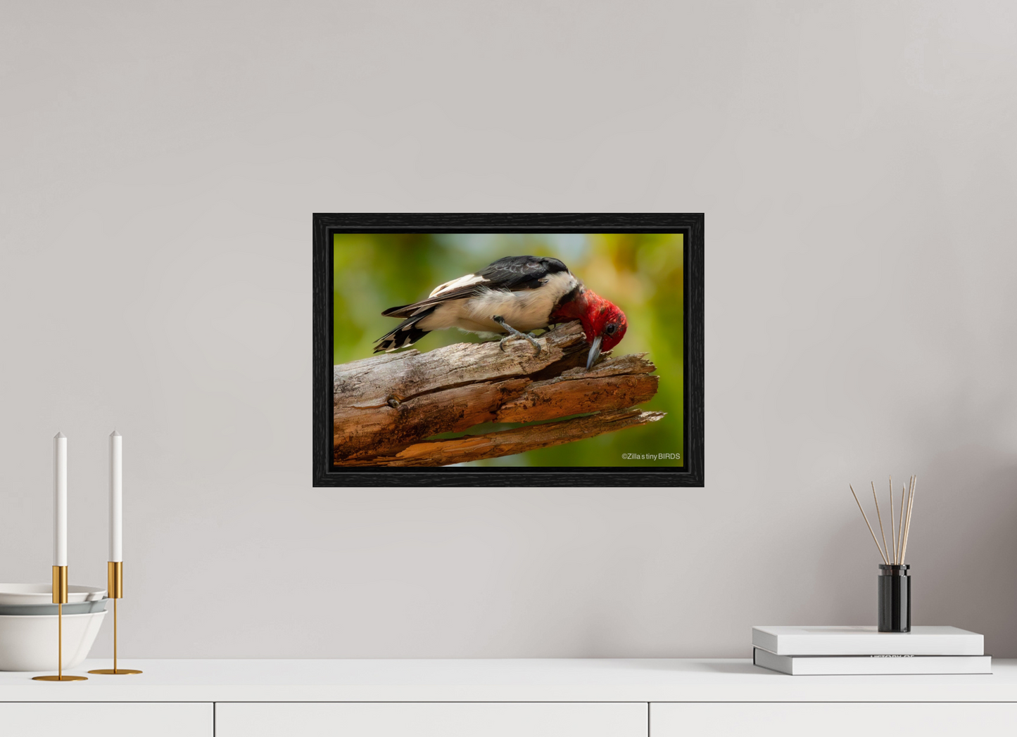 15 x 10″, Floater Frame Zillas Zoom Image 329