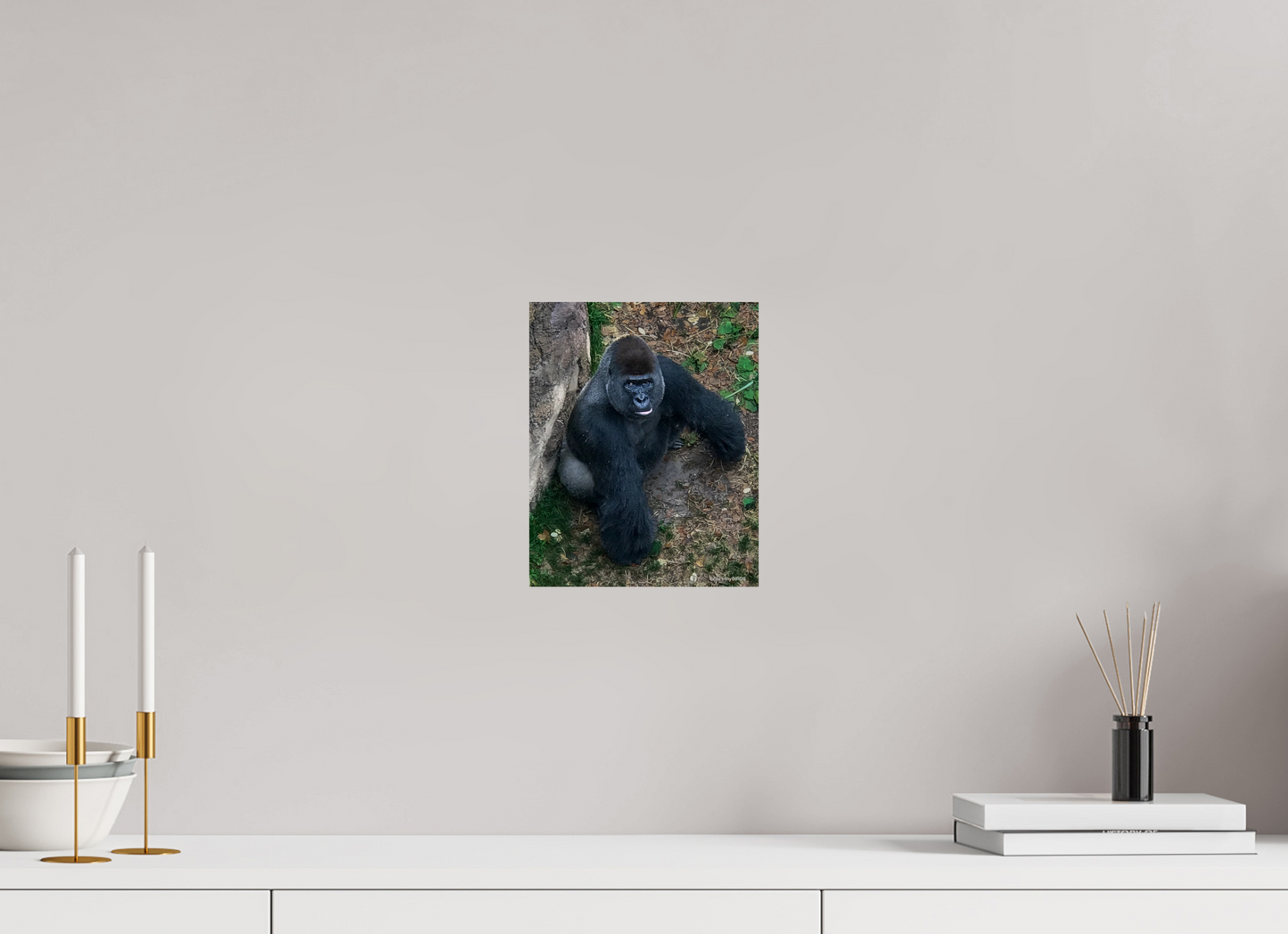 8 x 9.9″, Photo Print On Fuji Crystal DP II Zillas zoom image 151