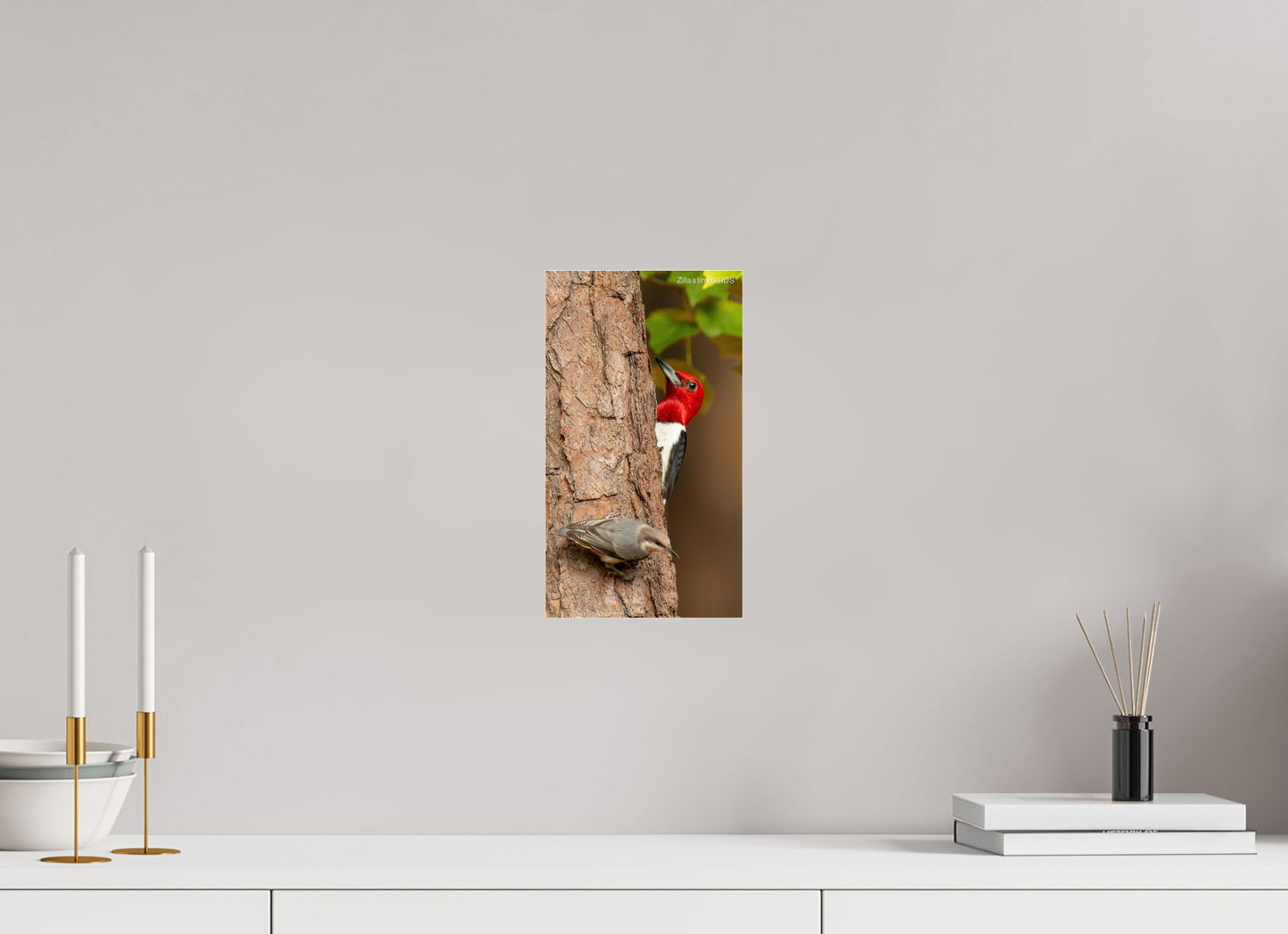 6.8 x 12″, Photo Print Under Acrylic Glass Zillas Zoom Image 490