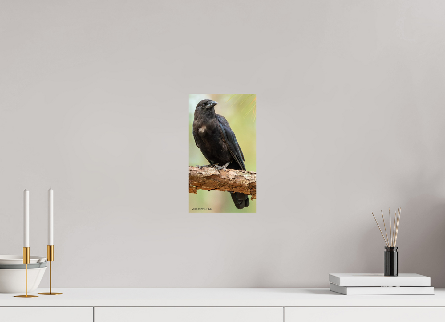 6.8 x 12″, Photo Print On Fuji Crystal DP II Zillas Zoom Image 479