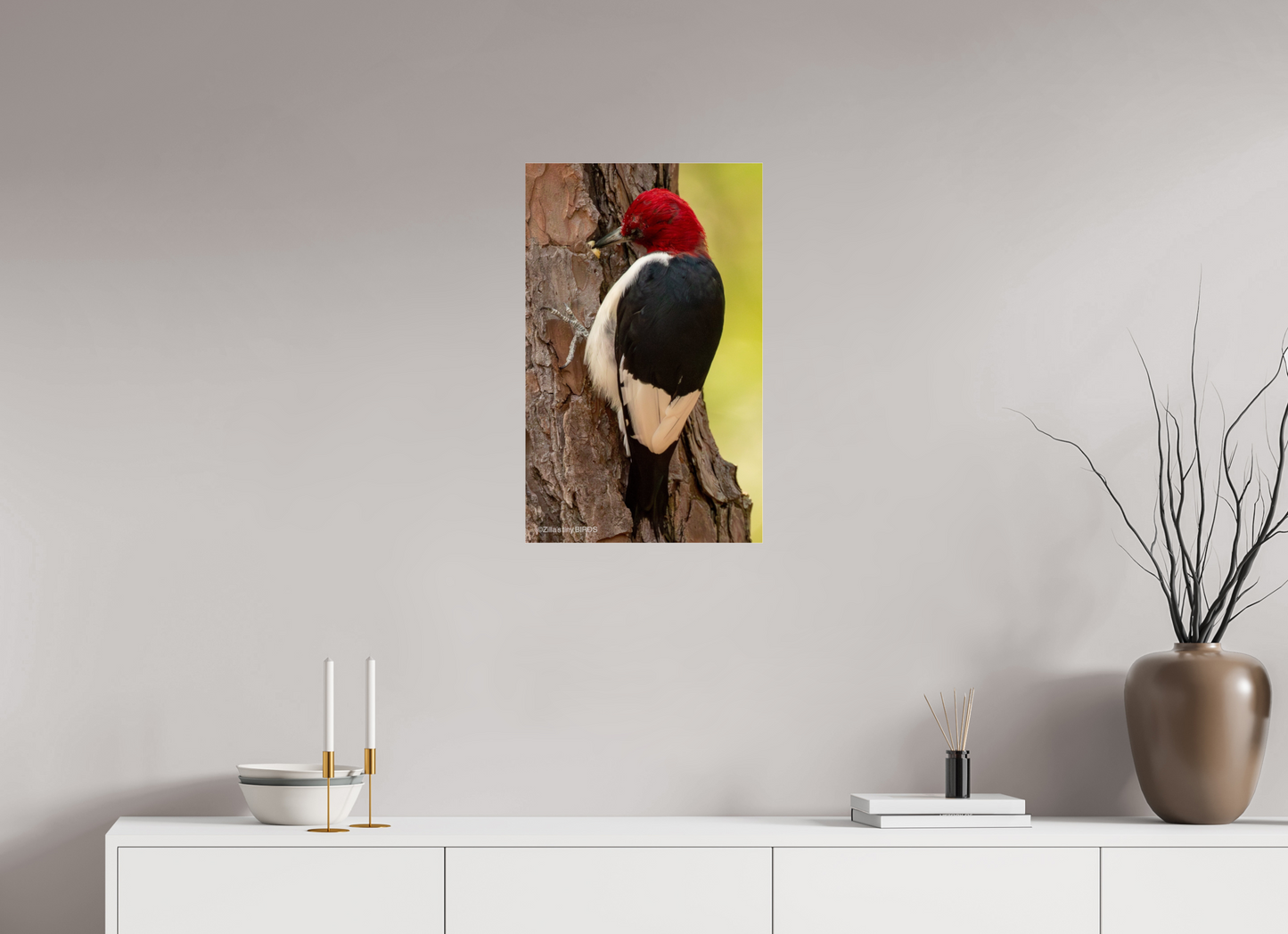 16 x 25.6″, Photo Print Under Acrylic Glass Zillas Zoom Image 461