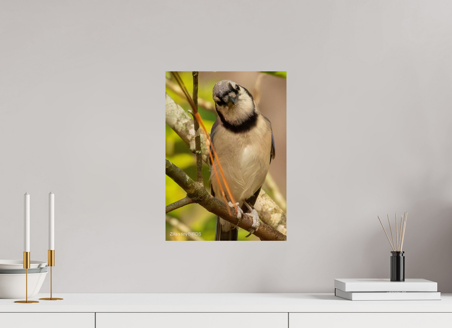 12 x 16.8″, Photo Print On Fuji Crystal DP II Zillas Zoom Image 505