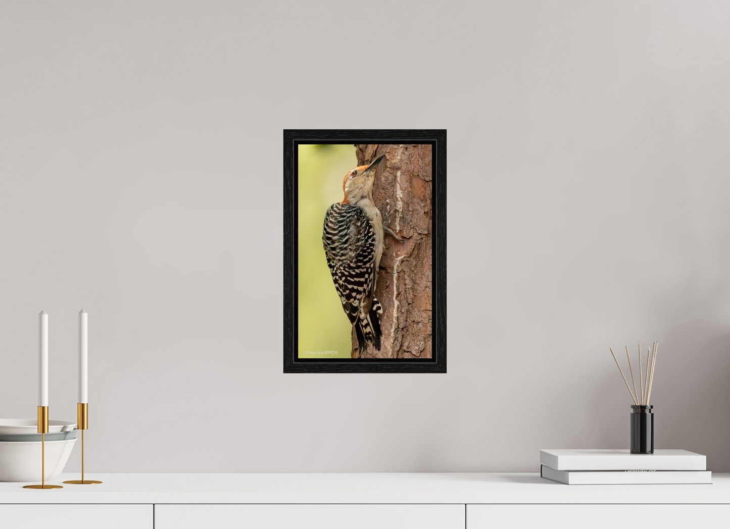 8 x 12.8″, Floater Frame Zillas Zoom Image 456