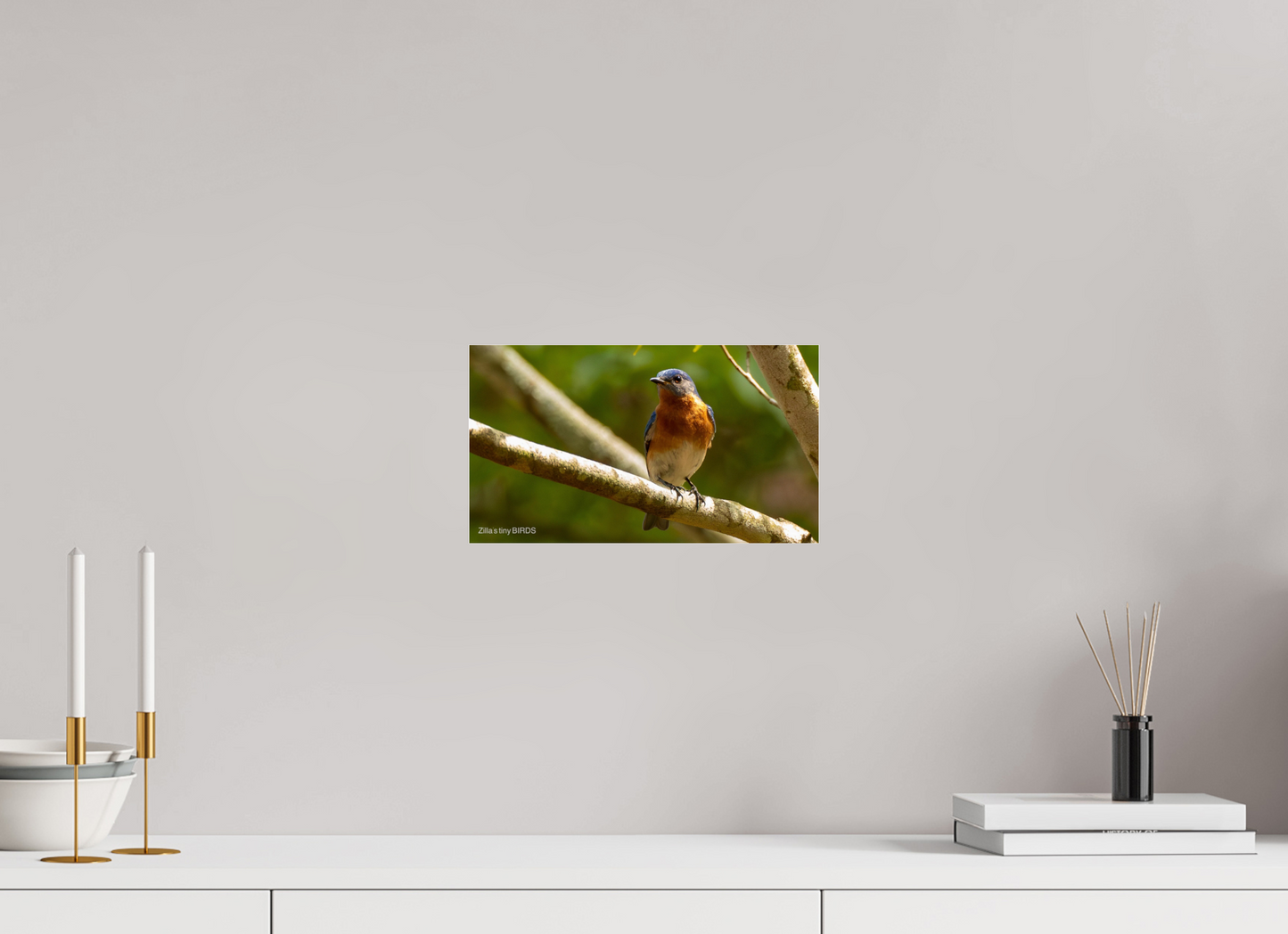 12 x 6.8″, Photo Print Under Acrylic Glass Zillas Zoom Image 373