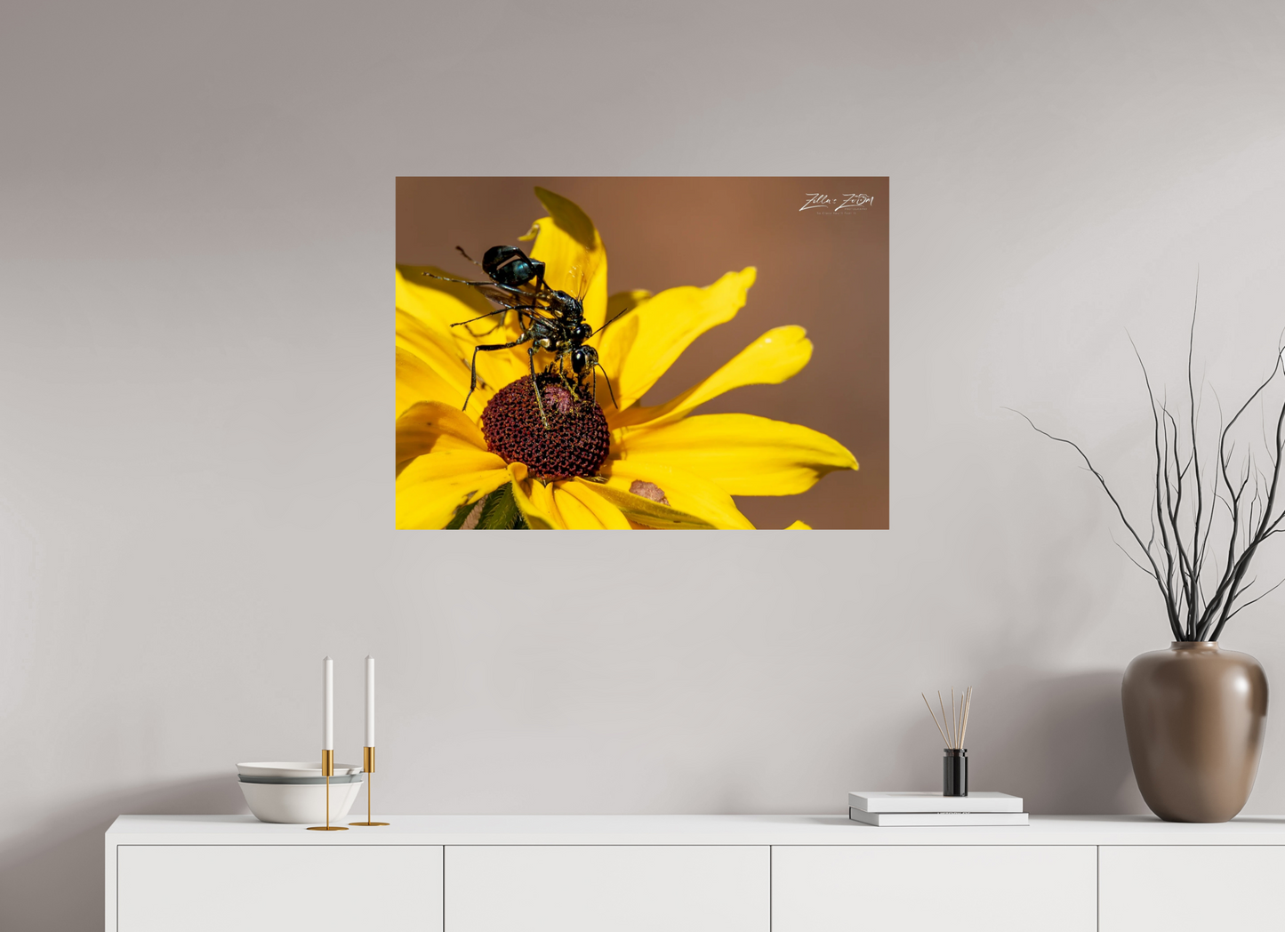 33.6 x 24″, Photo Print On Fuji Crystal DP II Zillas Zoom Image 104
