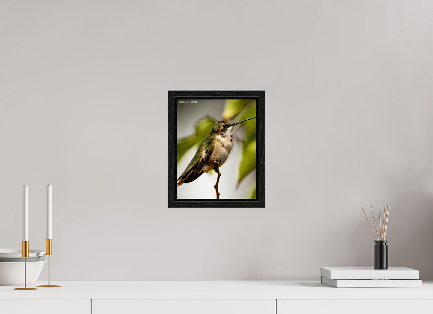 8 x 10″, Floater Frame Zillas Zoom Image 472